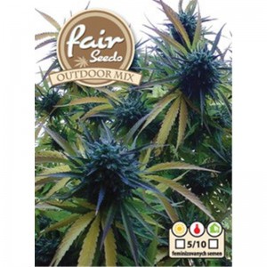 Outdoor mix