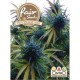 Outdoor mix